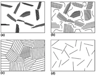 FIGURA  09  –  Micrografia  ao  TEM  da  montimorilonita,  mostrando  ambos  os  estados intercalado e esfoliado