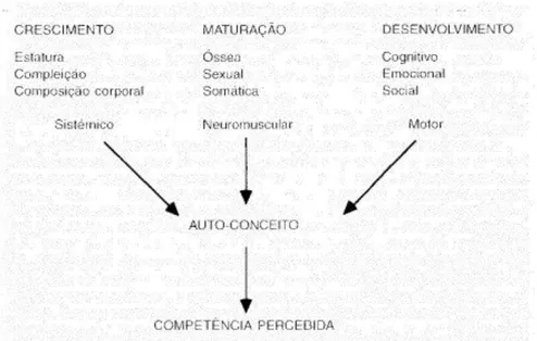 Figura 1- Dimensões do Crescimento, Maturação e Desenvolvimento (Gomes, 1998) 