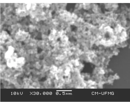Figura  18: Micrografia de ferrita obtida a partir de cloretos de ferro utilizando MEV