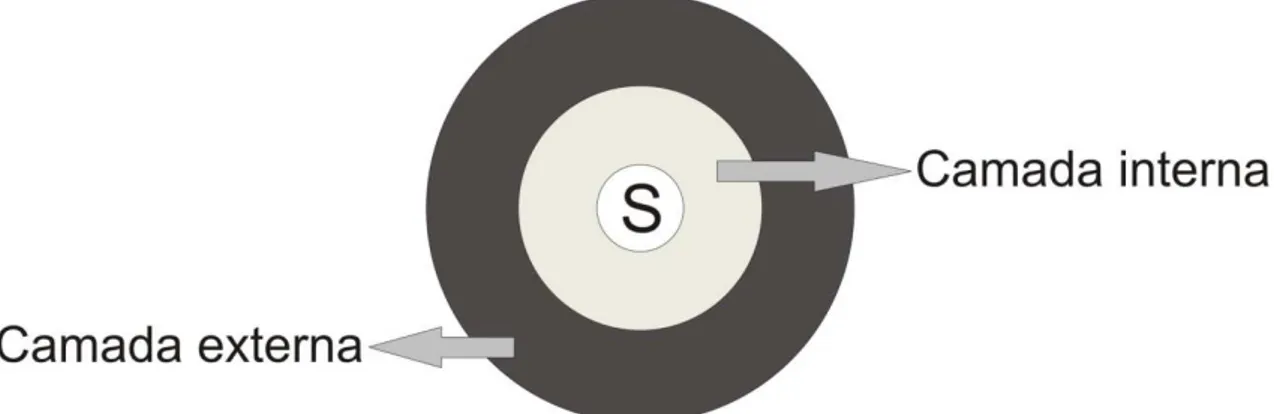 Figura 2.3: Esquema representativo do método quase-químico, na qual o soluto, S, é  solvatado por um solvente que está fragmentado em duas partes, a camada interna e 