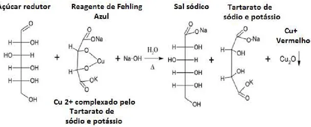 Figura 5 Equação da reação química envolvida no método de Lane-Eynon 