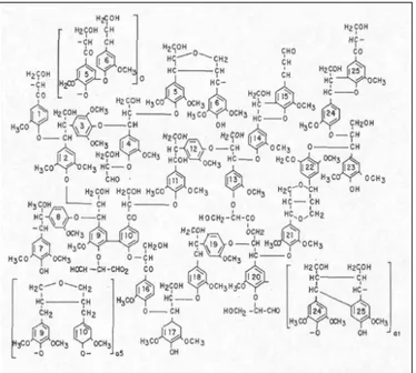 Figura 7 Modelo estrutural da lignina proposto por Nimz e co-autores 