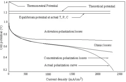 Figura 1.4 – Curva de polarização com a ilustração das perdas típicas numa célula de  combustível (adaptado de [1]) 