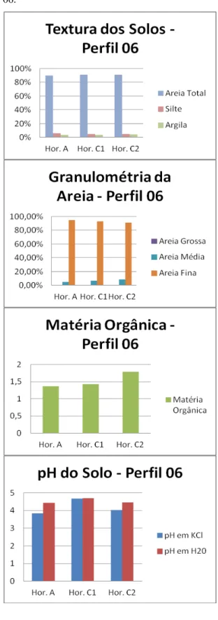 Gráfico  06:  Textura  dos  Solos,  Granulométria  da  Areia,  Matéria  Orgânica  e  pH  de  Solo  do  Perfil  06.