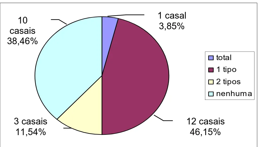 Figura 3 – Freqüência da concordância de tipos virais nos casais estudados. 