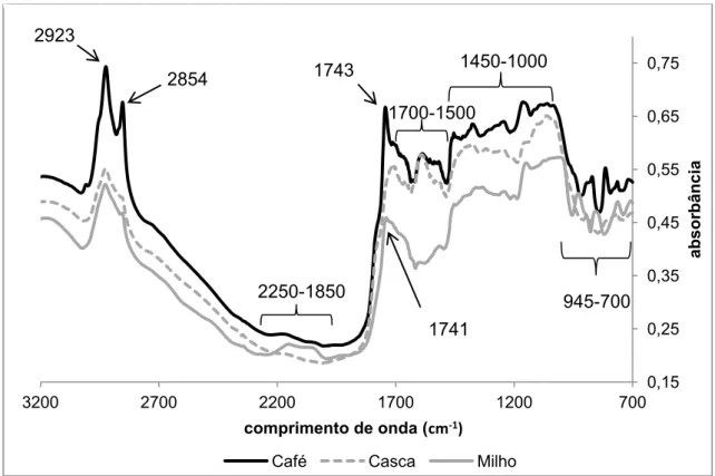 Figura 11- Espectros médios de café, de cascas de café e de milho, torrados, não  submetidos à pré-tratamentos matemáticos