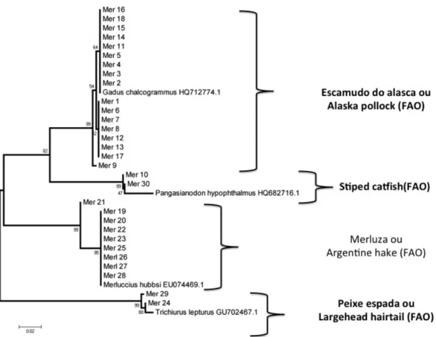 Figura 1: Árvore de haplótipos dos peixes comercializados como Merluza. 