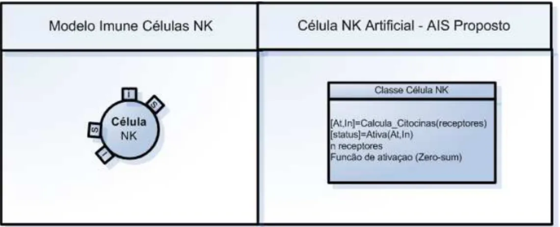 FIGURA 3.7 – Compara¸c˜ao entre a c´elula NK do sistema biol´ogico e a c´elula NK artificial do algoritmo DF-NKC.