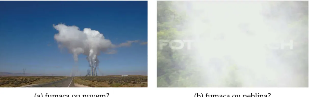 Figura 1.1: Em algumas situac¸ ˜oes ´e dif´ıcil distinguir fumac¸a de neblina ou nuvem at´e mesmo pelo ser humano.