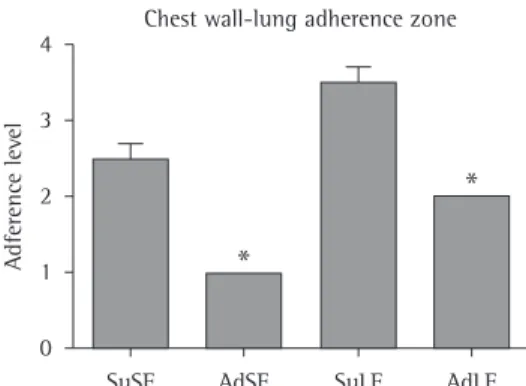 Figure 3 - Typical histopathological sample of  lung tissue in the sham-operated group