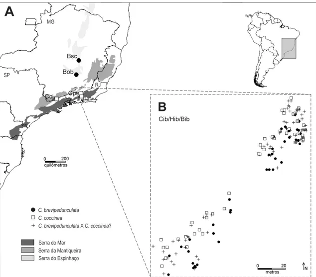 Figura  2.  A.  Localização  das  populações  de  Cattleya  coccinea  e  C.  brevipedunculata  amostradas