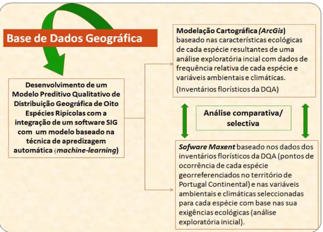 Figura 10- Fluxograma da metodologia geral desenvolvida para este estudo. 