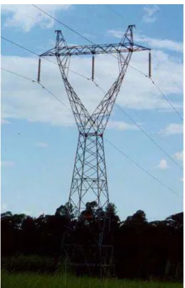 Figura 2.2: Torre de uma linha de transmissão. Fonte: http://newserrado.com/2009 /11/11/seguranca-nacional-e-o-apagao.