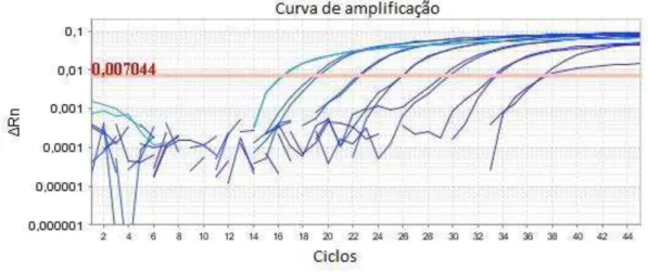Figura 1. Curva de sensibilidade analítica de PCR em tempo real com DNA de Campylobacter jejuni  diluído em base 10 de 20ng a 2fg, correspondente a 10 7  a 10 1  bactérias/g, respectivamente