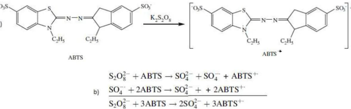 Figura 09:Reação de geração do radical ABTS +  com persulfato de potássio, a- 