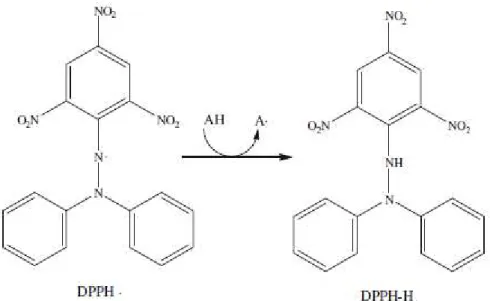 Figura  10:  Reação  do  radical  DPPH  com  um  antioxidante  (AH), 