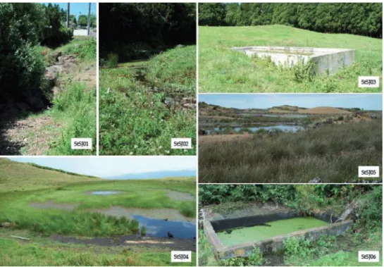 Figure 2: Views of the sampling stations: StSJ01, Engenho; StSJ02, S. Antão; StSJ03, Norte Pequeno; StSJ04, Pico da  Esperança; StSJ05 Fajã dos Cubres; StSJ06, S