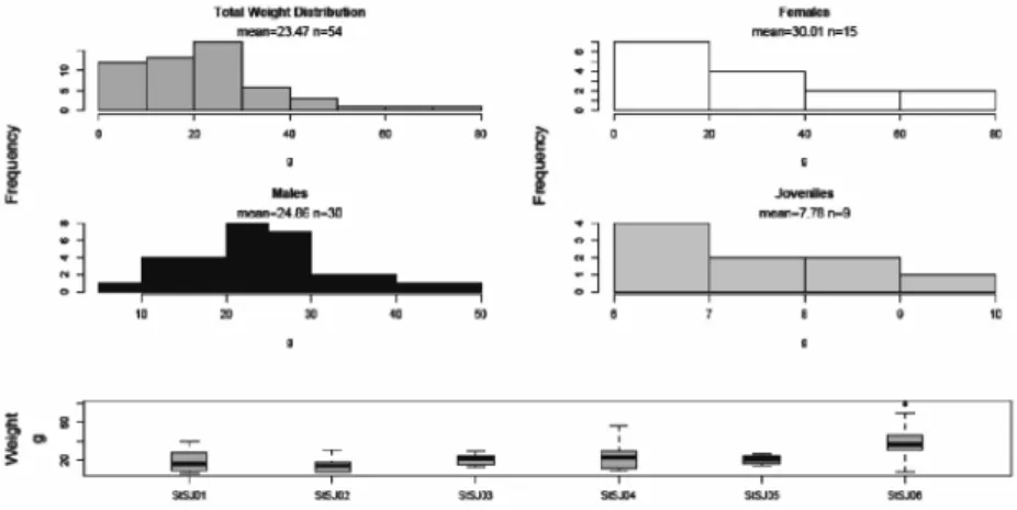 Figure  6:  Distribution  of P.  perezi  weight  by  size  class,  for  all  data  and  for  gender