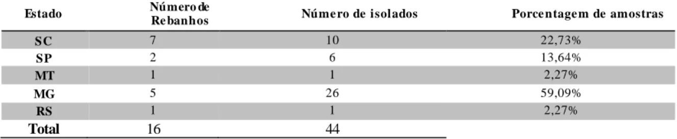 Tabe la 3. Número e  percentagem de isolados de Brachyspira sp. obtidos por estado. 