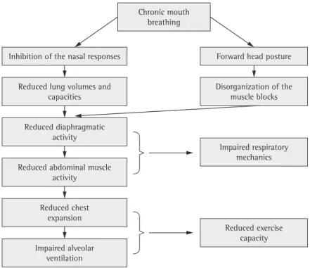 Figure 1 - Repercussions of chronic mouth breathing on body posture, respiratory mechanics, and exercise  tolerance.