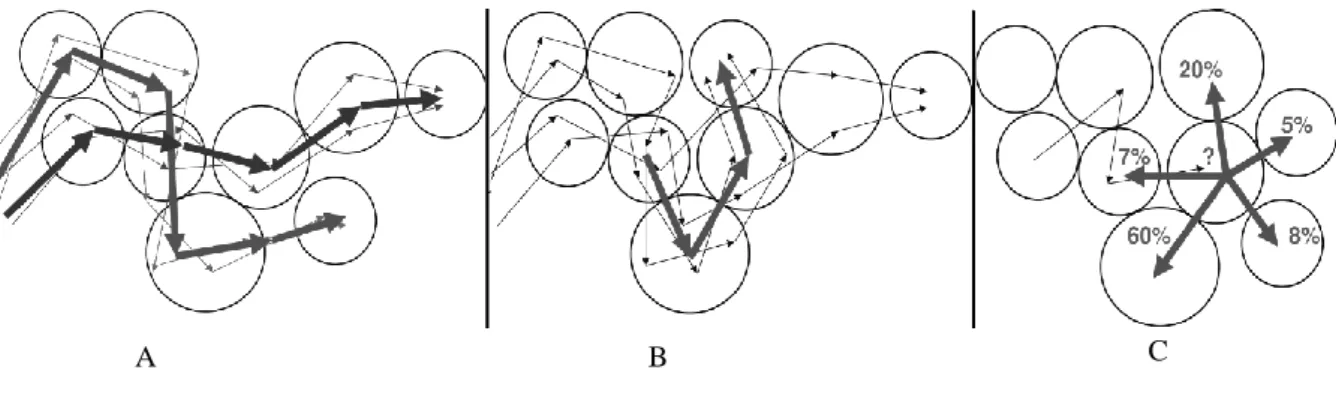 Figura 9. A: Clusters de trajetos/percursos; B: Padrões de trajetos/percursos; C: Previsão de trajetos/percursos