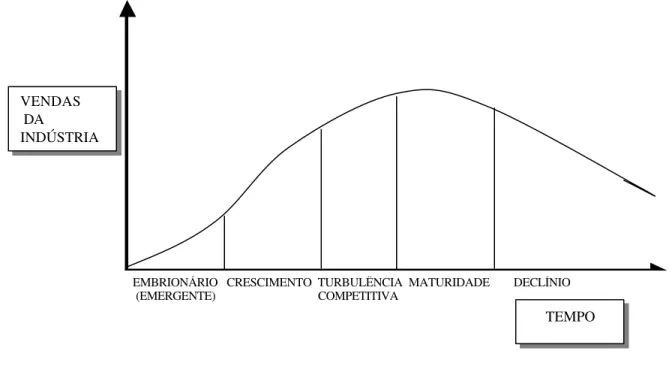 Figura  7   -    Estágios do ciclo de vida da indústria Fonte - WRIGHT, KROLL E PARNELL, 2000, p