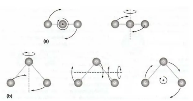Figura 3.1: Vibrações fundamentais para uma molécula linear (a) e para uma molécula não linear (b).