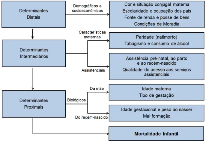 FIGURA  2  –  Modelo  explicativo  para  mortalidade  infantil  (adaptado  de  Mosley  e  Chen,  1984)