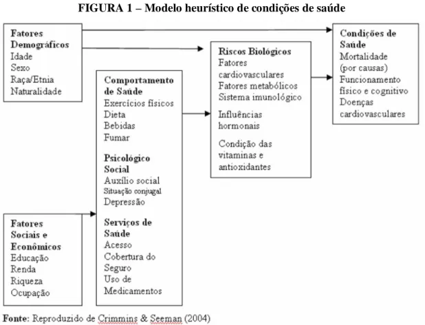 FIGURA 1 – Modelo heurístico de condições de saúde 