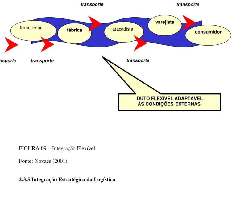 FIGURA 09 – Integração Flexível  Fonte: Novaes (2001) 