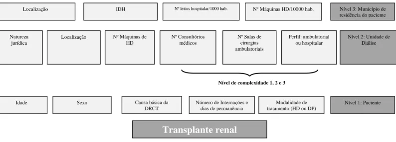 Figura 1- Modelo hierarquizado para transplante renal. 