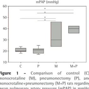 Figure 2D). There was no intimal proliferation  in M or M+P rats (Figure 3).