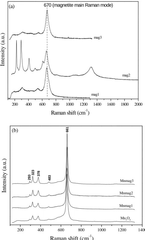 Fig.  3-2:  Raman  spectra  of:  (a)  magnetite  particles  (mag);  (b)  Mn 3 O 4   and  magnetic 