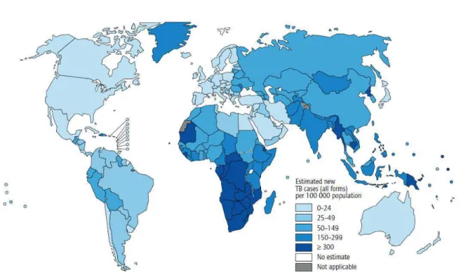 Figura 1 - Incidência estimada de TB - 2011  Fonte: WHO, 2012, p. 13. 