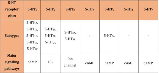 Table 2.1:  Different 5-HT receptor subtypes and major signaling pathways. Adapted from Pauwels (2003)
