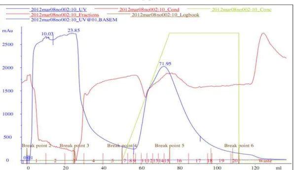 Figura  5: Gráfico  da  purificação  da  proteína  C8  por  cromatografia  de  afinidade,  em  uma  coluna  de  níquel,  no  aparelho  Akta