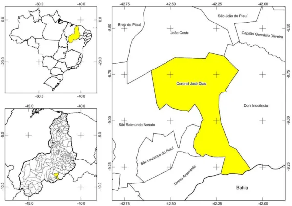 Figura 1: Mapa de Coronel José Dias e cidades limites. Processamento de dados: Maxim Jaffe, 2011 