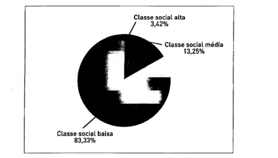 Figura 2 - Distribuição dos indivíduos de acordo com o nível sócio-económico. 