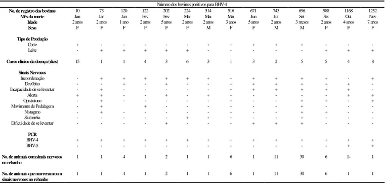 Tabela 5. Características apresentadas pelos bovinos positivos para BHV-4. 