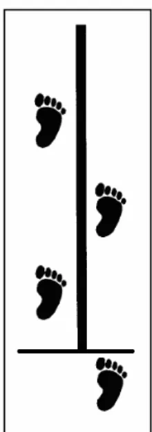 FIGURA 6: Saltos laterais unipedais à distância.  Fonte: Ross et al. (2002).   