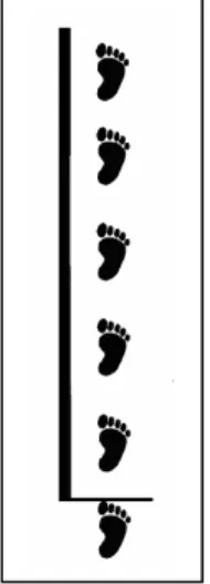 FIGURA 9: Salto quíntuplo unipedal à distância.  Fonte: Newton et al. (2006).   