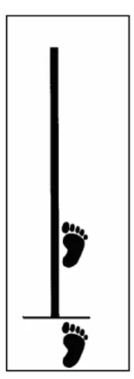 FIGURA 11: Salto horizontal unipedal à distância.  Fonte: Ross et al. (2002).  
