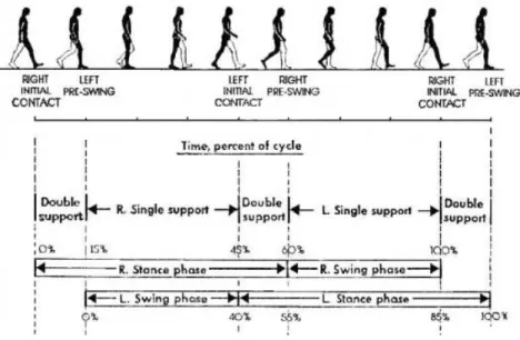 Figure 1.2 Gait description. Adapted from [13] 