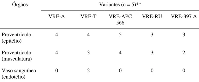 Tabela 3. Órgãos positivos para VRE pela hibridização in situ de acordo com as diversas  variantes do VRE utilizadas*