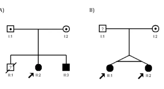 Figura	
  3	
  -­‐	
  Pedigrees	
  das	
  famílias	
  do	
  estudo.	
  A)	
  Pedigree	
  da	
  família	
  1.	
  B)	
  Pedigree	
  da	
  