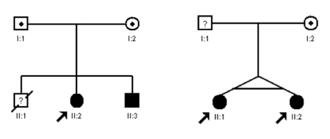 Figure	
   1	
   -­‐	
   Pedigrees	
   of	
   the	
   families	
   from	
   the	
   study.	
   A)	
   The	
   pedigree	
   of	
   family	
  