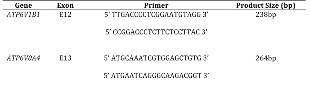 Table	
   1	
   -­‐	
   Primers	
   for	
   genomic	
   amplification	
   and	
   mutational	
   analysis	
   of	
   ATP6V1B1	
  