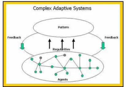 Figura 1: Modelo de interação dos Sistemas Adaptativos Complexos