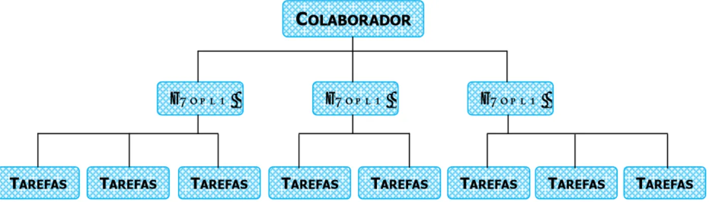 Fig. 10 – Representação gráfica da diferença entre os conceitos de Função e Tarefa. 
