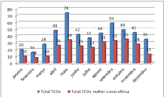 Gráfico 4 – Relação de Termos Circunstanciados de Ocorrência encaminhados ao Juizado                      em relação aos de mulher como vítima no ano de 2005